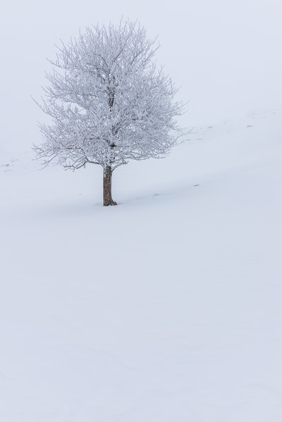 Thierry Perrier photographe nature paysage Neige & Glace